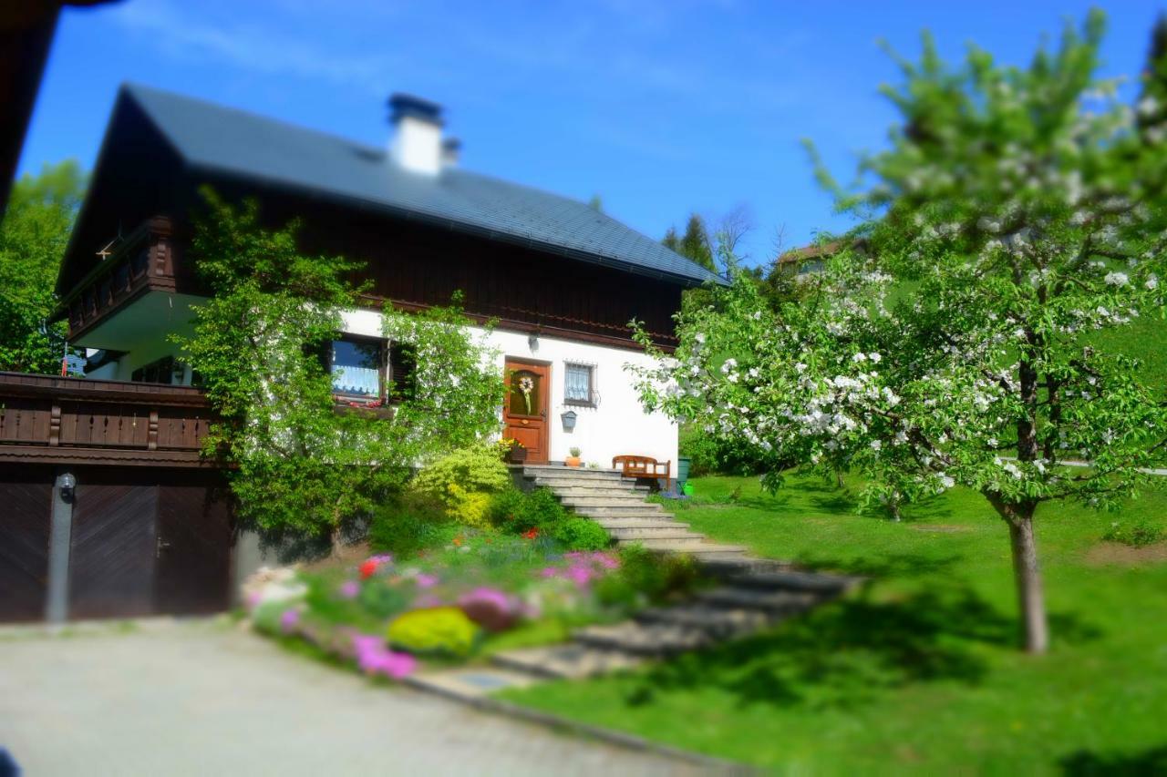 Apartment Ivkadan Bad Aussee Buitenkant foto
